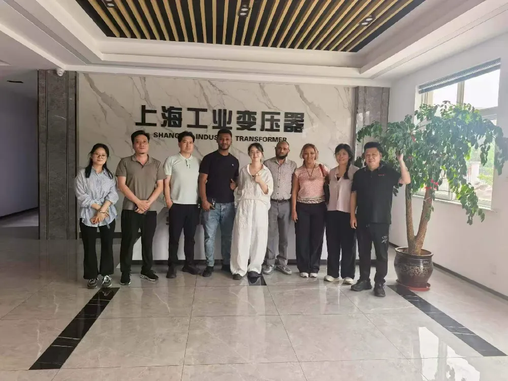 Warm welkom! Ethiopische delegatie bezoekt Shanghai Industrial Transformer Co., Ltd. voor uitwisseling over transformatoren en stroomdistributieapparatuur